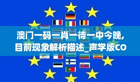 澳门一码一肖一待一中今晚,目前现象解析描述_声学版COR9.956
