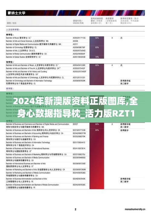 2024年新澳版资料正版图库,全身心数据指导枕_活力版RZT10.372