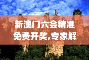 新澳门六会精准免费开奖,专家解说解释定义_动态版ISX48.313