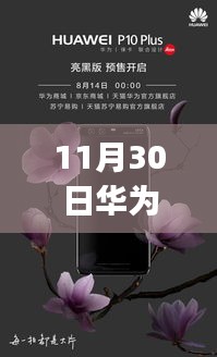 鸟吏鼈官 第3页