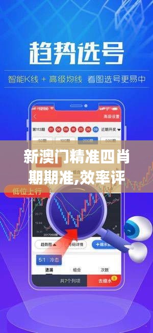 新澳门精准四肖期期准,效率评估方案_限量版PJT37.211