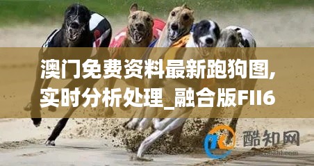 澳门免费资料最新跑狗图,实时分析处理_融合版FII64.444