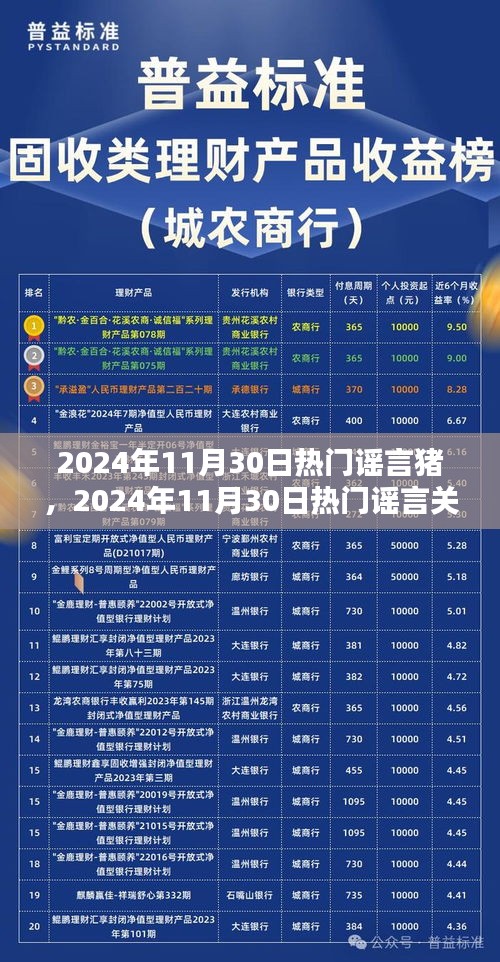 探究猪谣言真相，揭秘关于猪的热门谣言背后的真相（2024年11月30日）