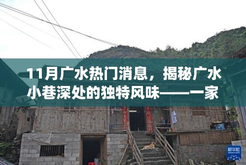广水小巷深处的独特风味，揭秘一家隐藏版特色小店的十一月故事