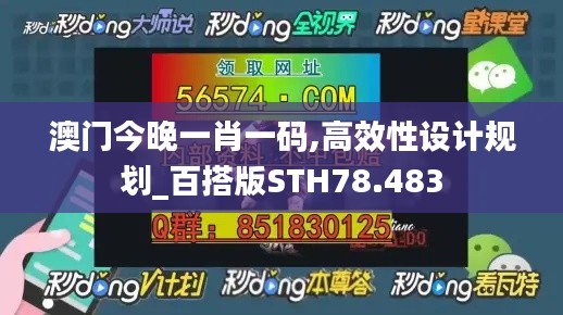 澳门今晚一肖一码,高效性设计规划_百搭版STH78.483