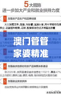 澳门管管家婆精准资料,专家意见法案_美学版YPH32.418