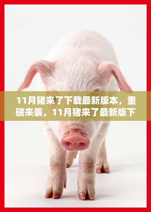 支付优惠 第317页