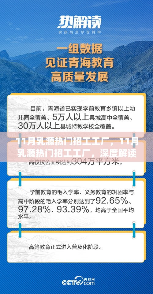 深度解读与观点阐述，11月乳源热门招工工厂概览