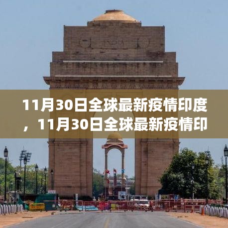 全球最新疫情动态，印度深度分析与观察（截至11月30日）