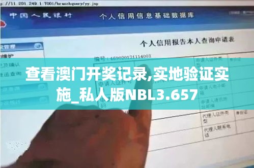 查看澳门开奖记录,实地验证实施_私人版NBL3.657