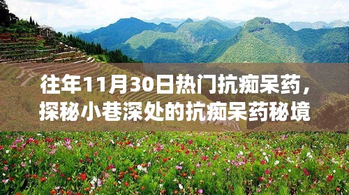 探秘小巷深处的抗痴呆药秘境，揭秘热门药物背后的故事与抗痴呆药的发展历程