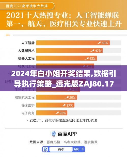2024年白小姐开奖结果,数据引导执行策略_远光版ZAJ80.174