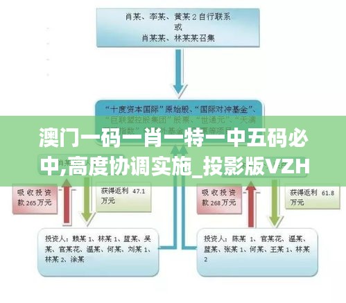 澳门一码一肖一特一中五码必中,高度协调实施_投影版VZH21.419