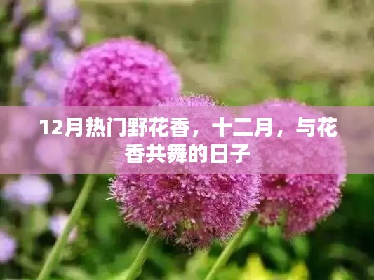 布衣蔬食 第4页