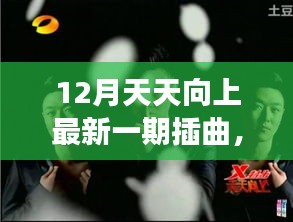 长命富贵 第4页