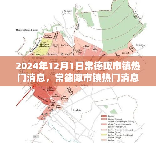箭拔弩张 第3页