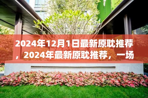 2024最新原耽推荐，寻找内心平静的奇妙自然之旅启程