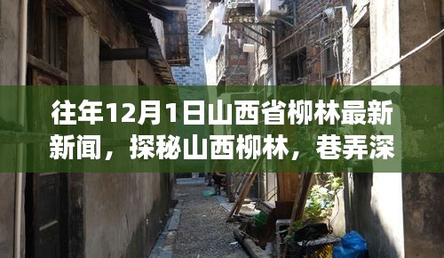 为民请命 第3页