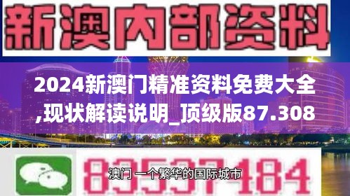2024新澳门精准资料免费大全,现状解读说明_顶级版87.308-9