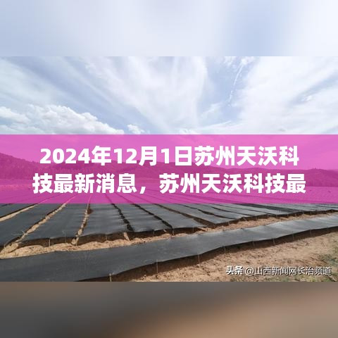 苏州天沃科技最新动态发布，迈向成功的关键技能指南（初学者与进阶用户必读）