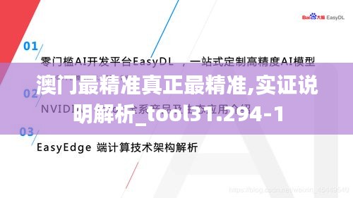 澳门最精准真正最精准,实证说明解析_tool31.294-1