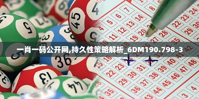 一肖一码公开网,持久性策略解析_6DM190.798-3