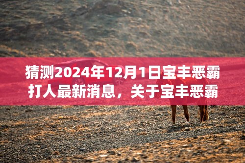 关于宝丰恶霸打人事件最新进展的猜测（2024年12月1日更新）