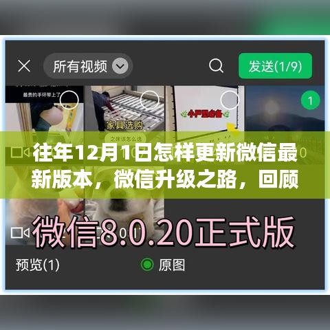 张飞穿针 第3页