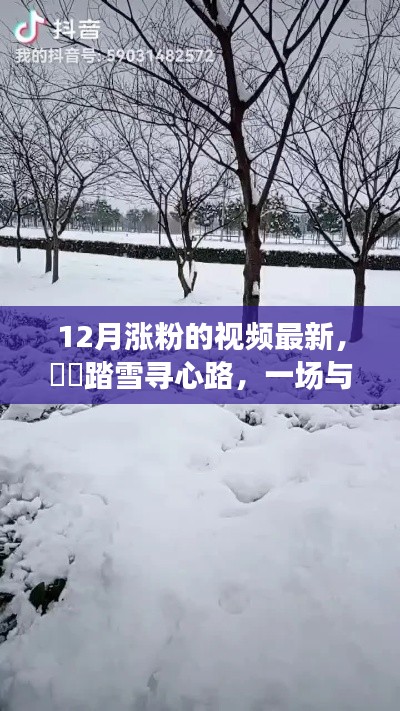 十二月涨粉视频之旅，踏雪寻心路，与自然美景的邂逅