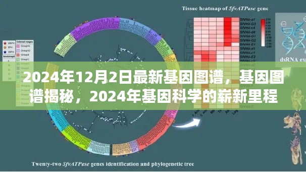 百不得一 第3页