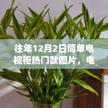 往年12月2日电视柜流行趋势，背后的故事与自信成就感的诞生之旅
