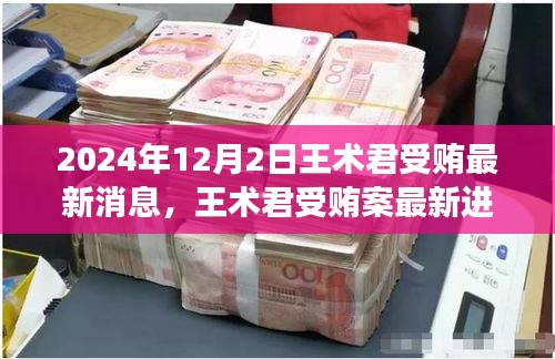 王术君受贿案最新进展与深度剖析，2024年12月2日更新