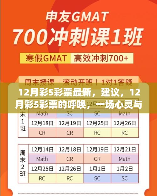 12月彩5彩票最新建议，心灵与自然的美妙遨游之旅开启！