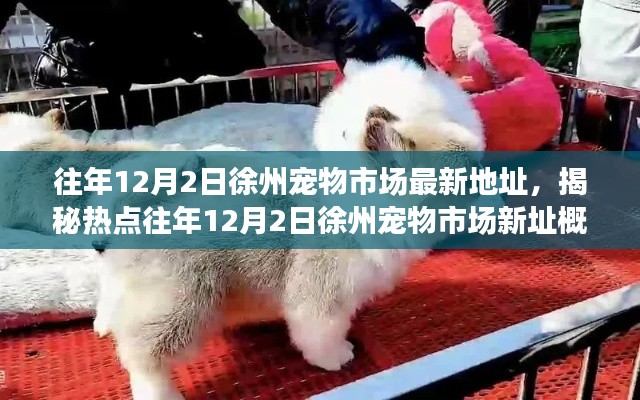 揭秘热点，徐州宠物市场新址概况与行业洞察（往年12月2日最新地址）
