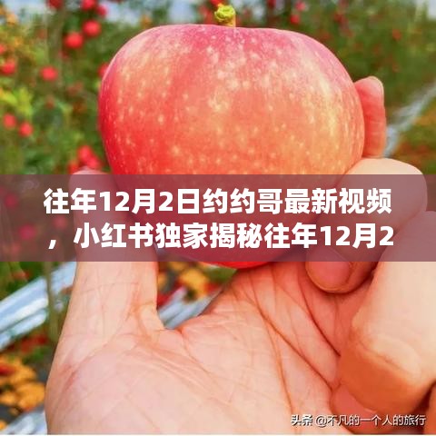 独家揭秘，往年12月2日约约哥最新视频精彩瞬间全回顾