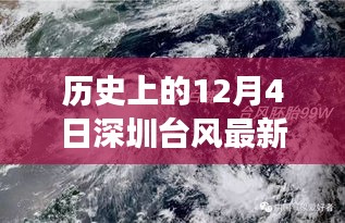 虫蚀鸟步 第4页