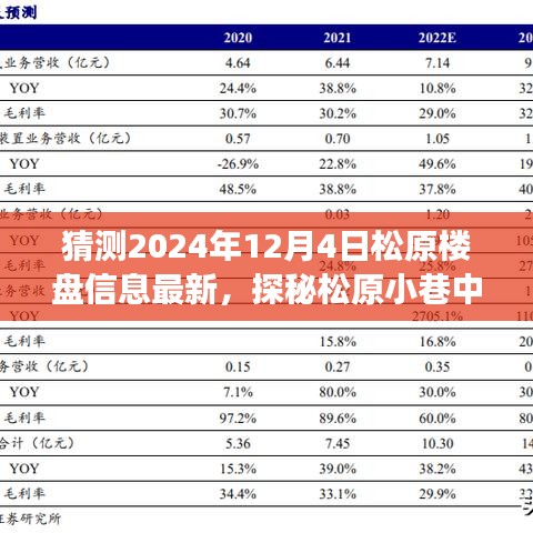 松原楼盘最新动态揭秘，探秘小巷隐藏宝藏与独特小店故事，预测未来松原楼盘发展趋势（2024年松原楼盘最新资讯）
