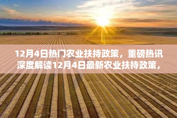 慎重其事 第4页