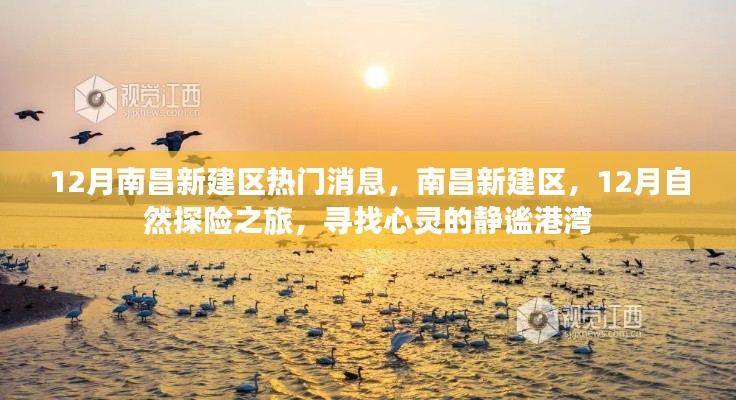 鸟语蝉鸣 第3页