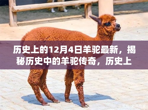 物是人非 第4页