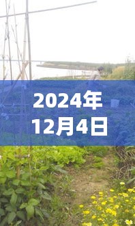 比张比李 第3页