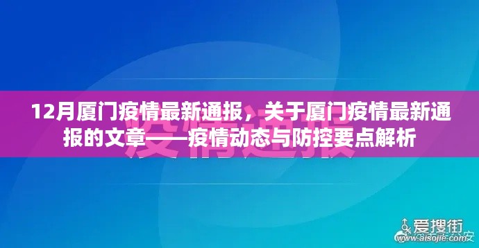 厦门疫情最新动态解析，疫情通报与防控要点文章