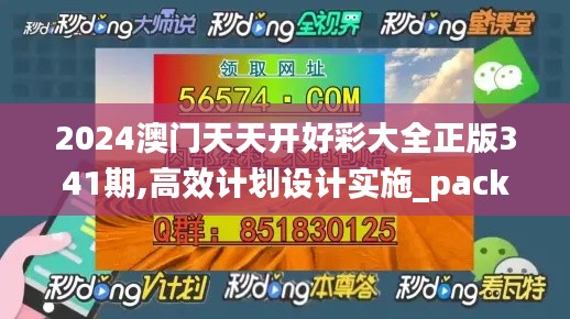 2024澳门天天开好彩大全正版341期,高效计划设计实施_pack16.627