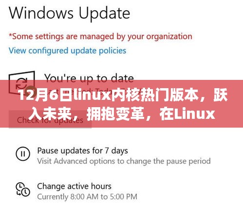 支付优惠 第262页