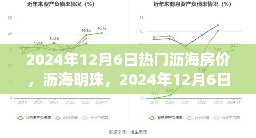 沥海明珠，揭秘房价繁荣与变迁的奥秘，最新沥海房价趋势预测（2024年12月6日）