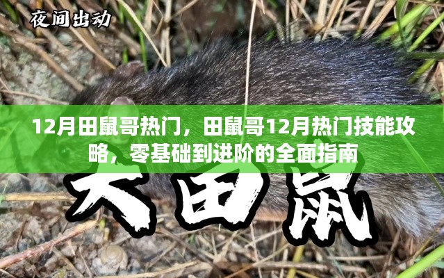 田鼠哥12月技能攻略，从入门到进阶的全面指南