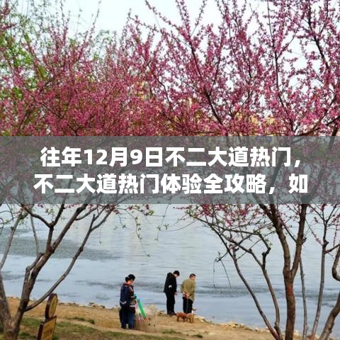 往年12月9日不二大道风情全攻略，享受独特魅力的必备体验指南