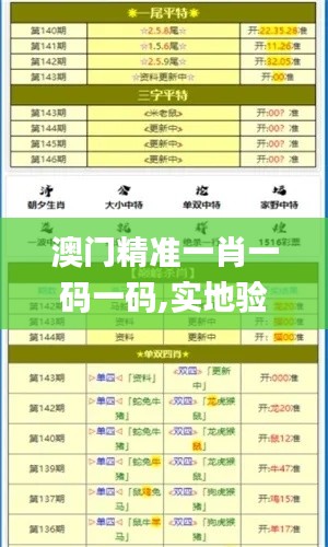 澳门精准一肖一码一码,实地验证数据分析_黄金版8.378