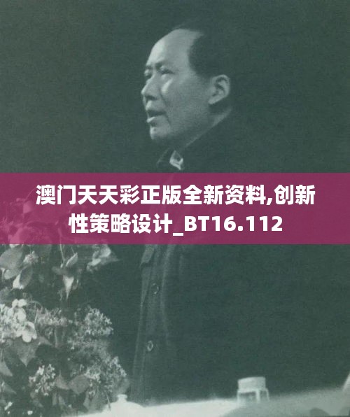 澳门天天彩正版全新资料,创新性策略设计_BT16.112