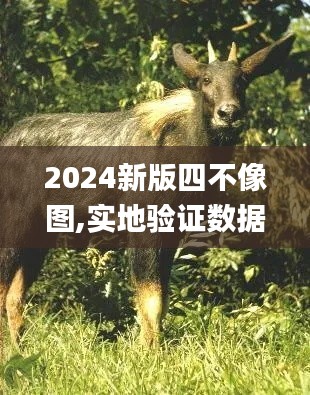2024新版四不像图 实地验证数据应用